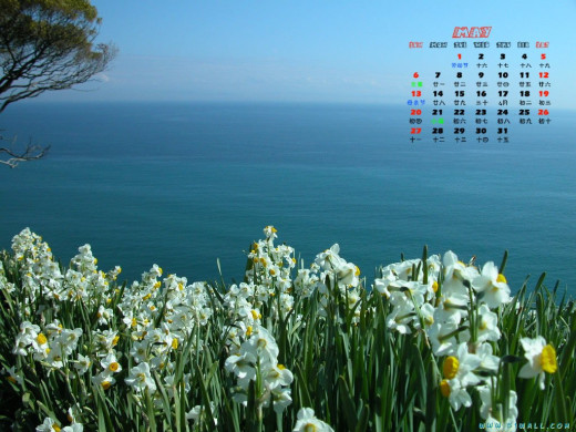 395203 (a): :1024x768